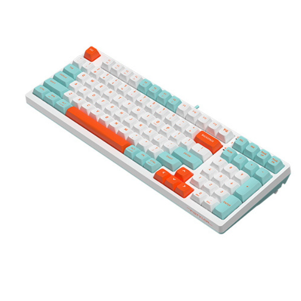 A4Tech FS300 Hot-Swappable Mechanical Keyboard – Panda Rock/Snorkel-Dokkantech