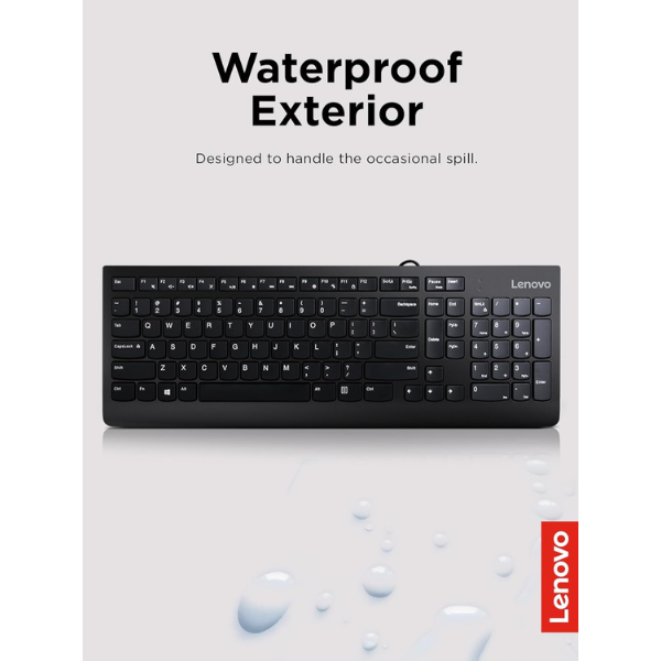Lenovo 300 USB Keyboard - Arabic-Dokkantech