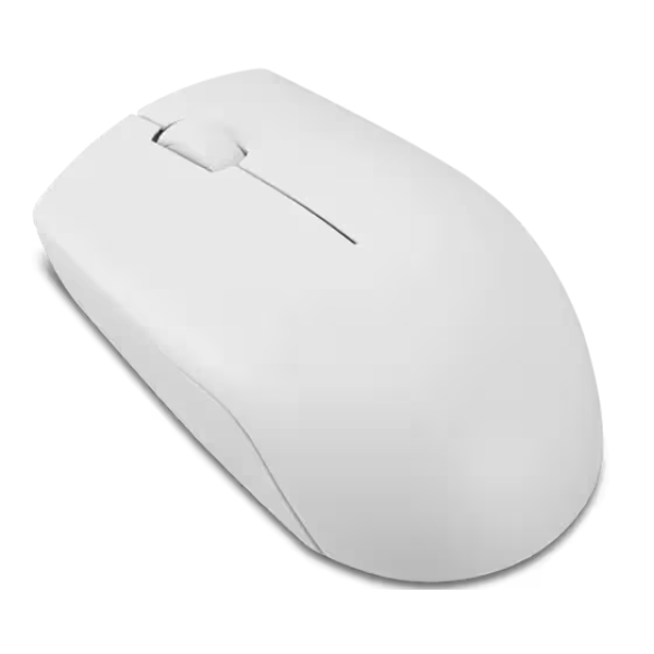 Lenovo 300 Wireless Compact Mouse, Cloud Grey. - DokanTech