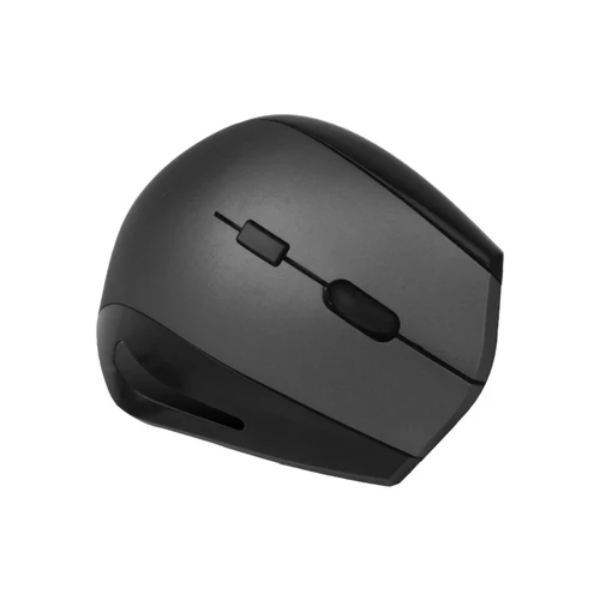 Meetion R380 Wireless Ergonomic Vertical Mouse – Gray - Dokkantech