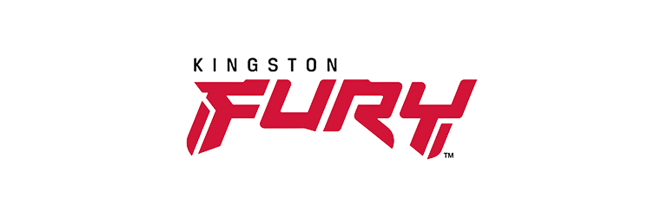 Kingston Fury - DokanTech
