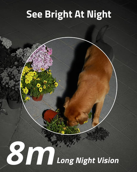 Eufy SoloCam S40 – 2K image quality
