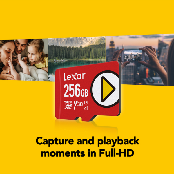 Lexar PLAY 256GB microSD – in Nintendo Switch
