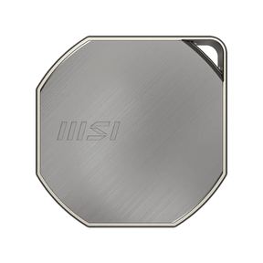 MSI DATAMAG 40Gbps Portable SSD 1TB High Speed External Solid State Drive