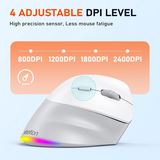Meetion BTM010R Ergonomic Wireless - Dokkantech