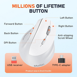 Meetion BTM010R Ergonomic Wireless - Dokkantech