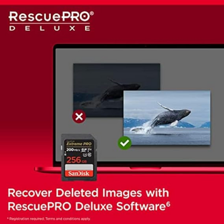 SanDisk Extreme PRO 256GB 200/140MB/s SD - DokanTech #