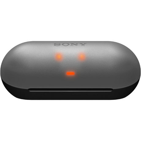 Sony WF-C500 – 20-hour total battery