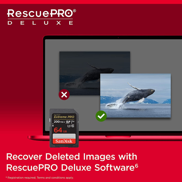 بطاقة Sandisk Extreme Pro بسعة 64 جيجابايت وسرعة 200 ميجابايت/ثانية - بطاقة SD لفيديو بدقة 4K لكاميرات DSLR