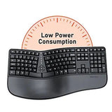 Meetion DirectorW Wireless Ergonomic Keyboard Ara/En - Black Meetion Egypt