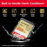 SanDisk Extreme SD 256GB – in camera